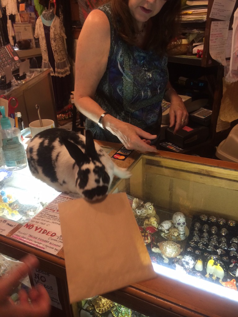 A Working Bunny