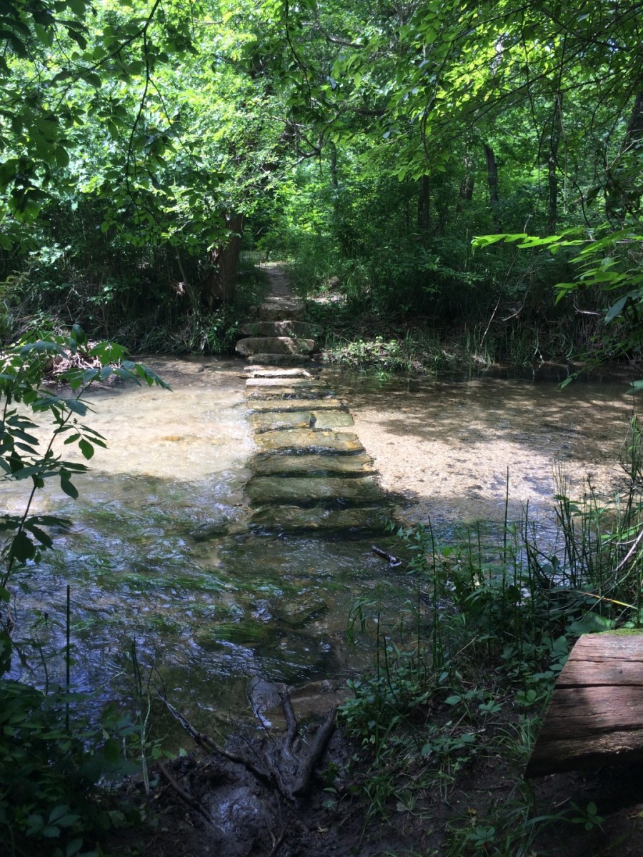 An adventurous path in the Chickasaw National Recreation Area
