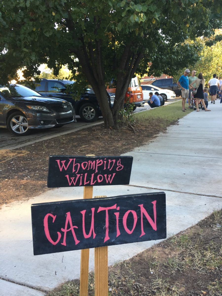 Harry Potter Festival - photo by Dennis Spielman