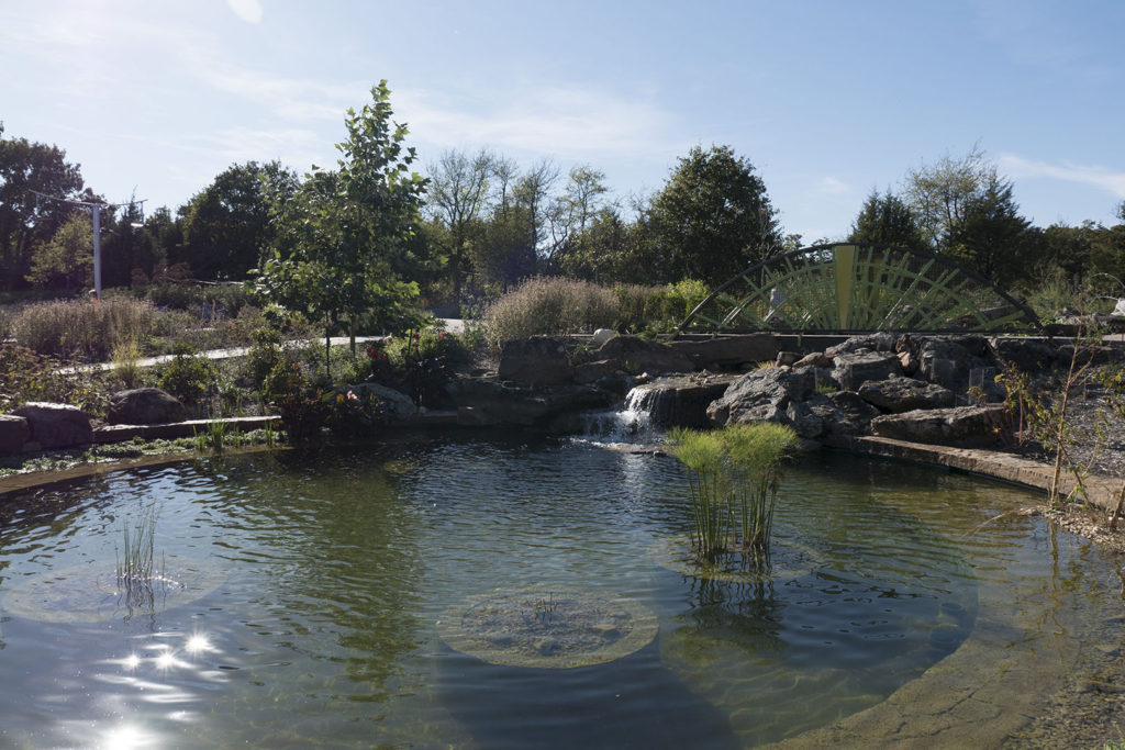 Tulsa Botanic Garden - photo by Dennis Spielman