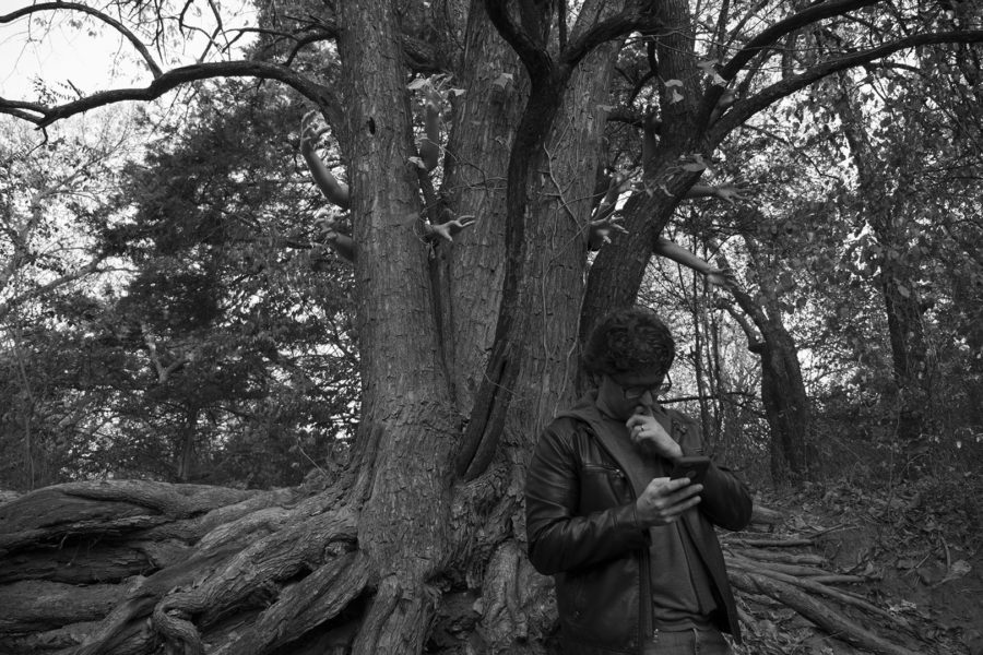 The Search for the Tree with Hands - photo by Dennis Spielman