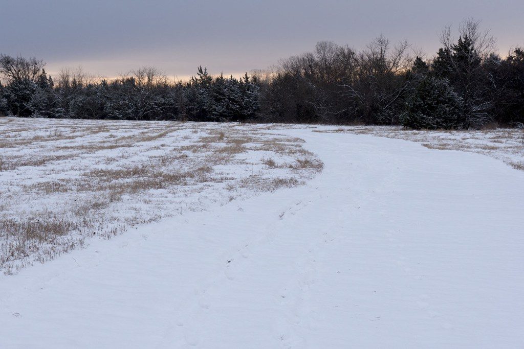 Snow at Sutton Wilderness - Photo by Dennis Spielman