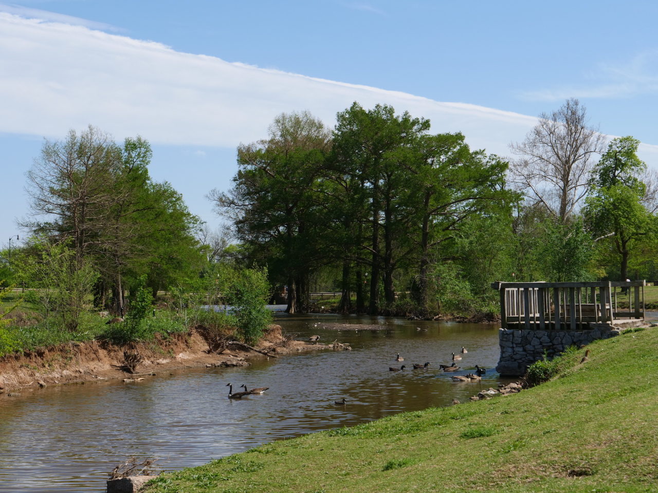 Photo of the OU Duck Pond taken with the GH5