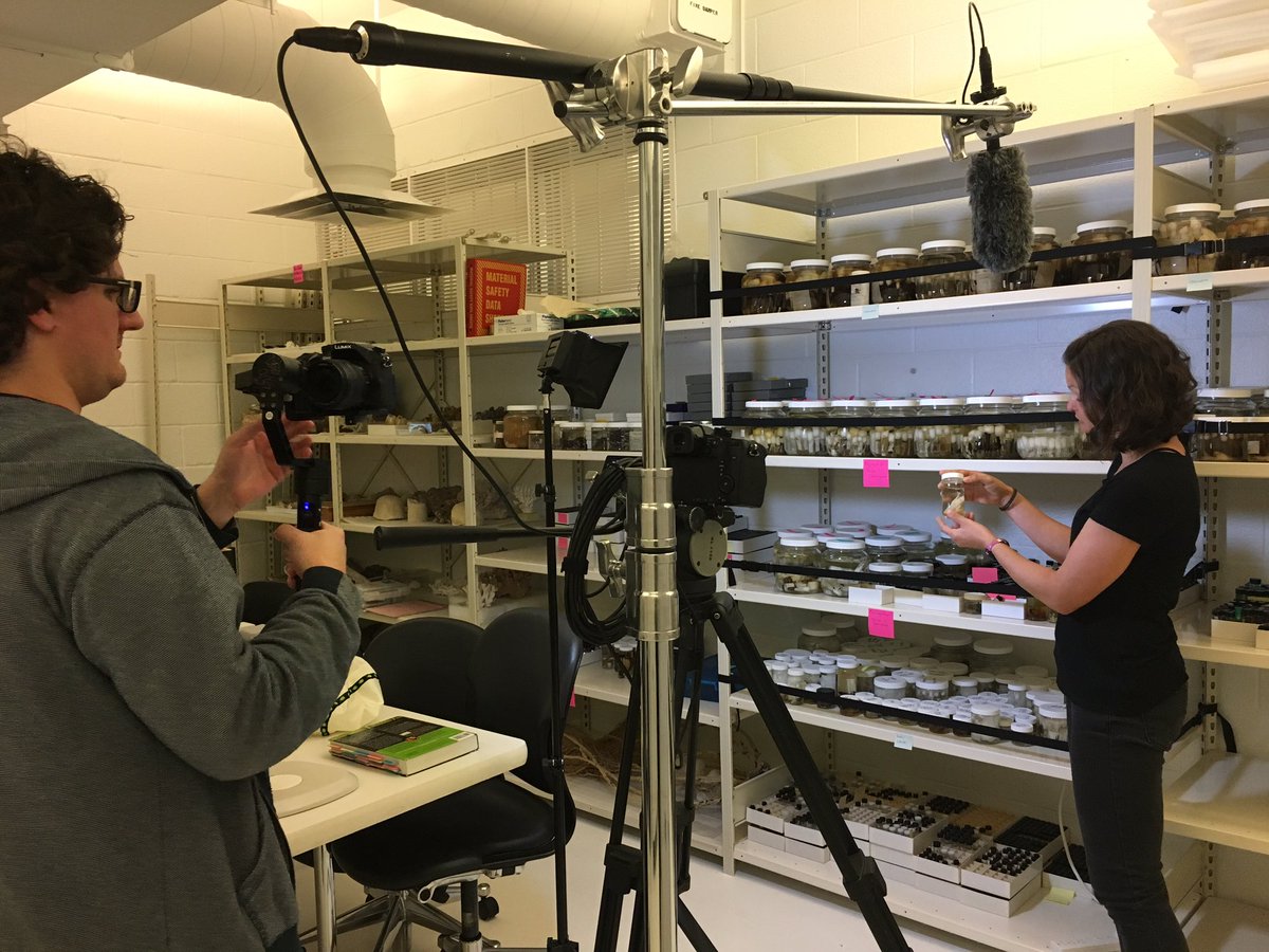 Behind the Scenes of Yes Science with Katrina Menard