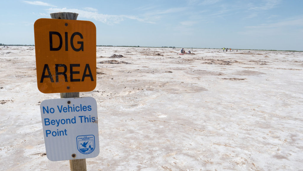 Dig Area at the Great Salt Plains State Park - photo by Dennis Spielman