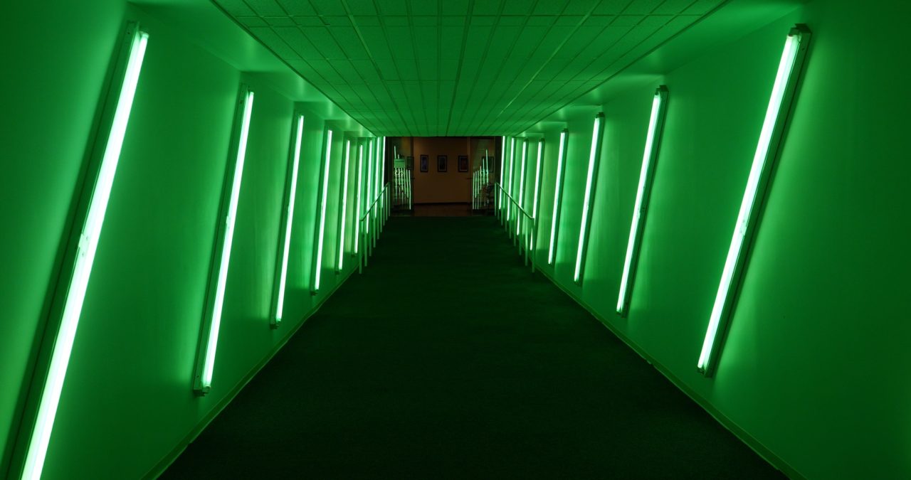 The Underground's Green Tunnel - photo by Dennis Spielman