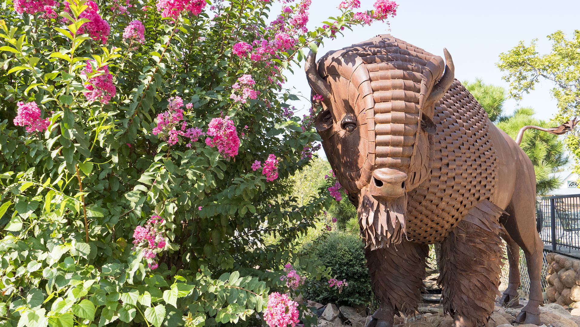 Medicine Park and Wichita Mountains Wildlife Refuge Adventure Dennis