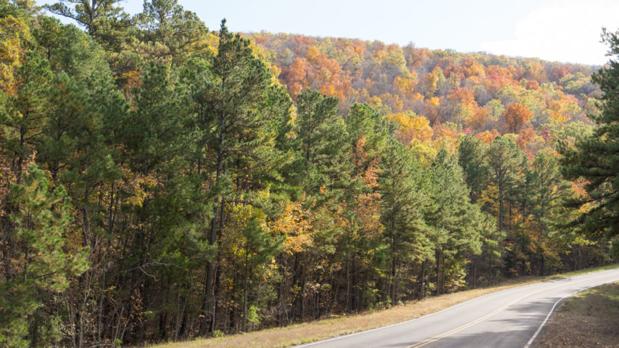 Talimena National Scenic Byway - photo by Dennis Spielman