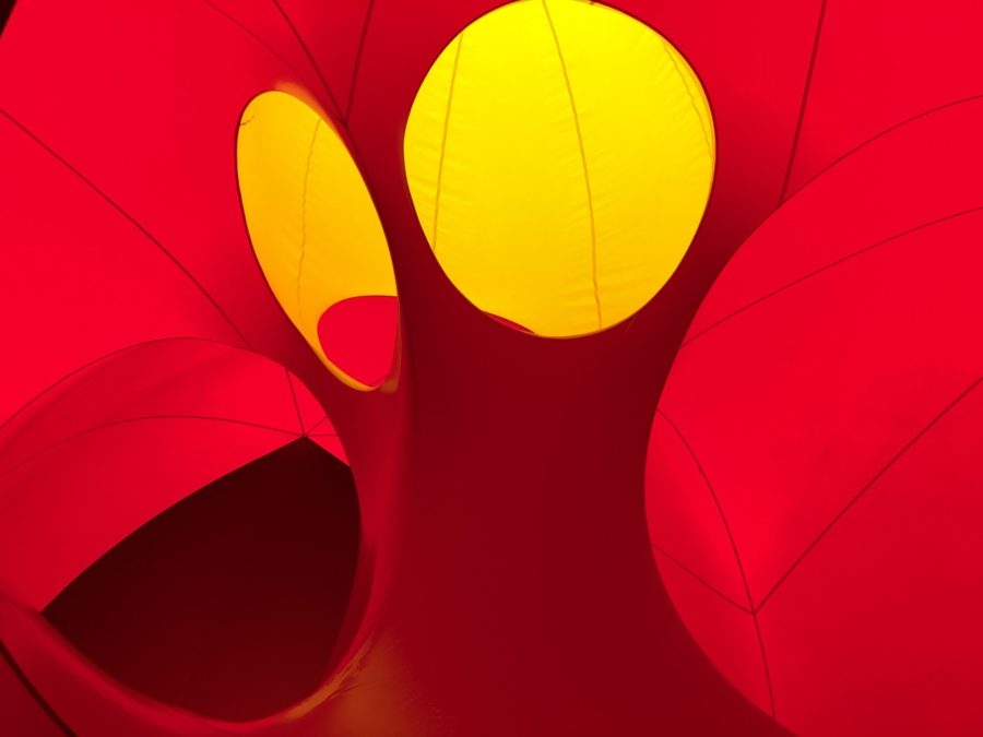 Luminarium Albesila - photo by Dennis Spielman